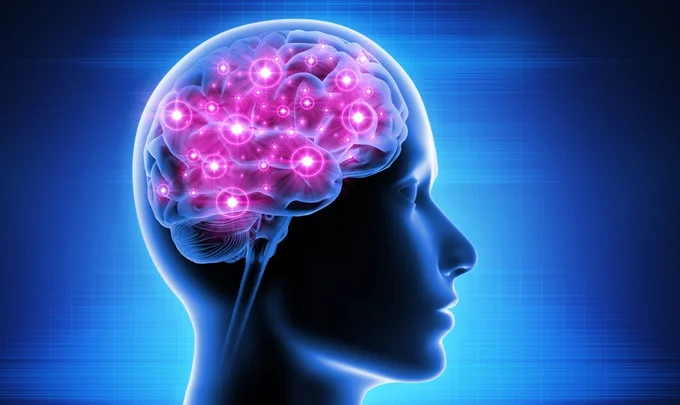 Black maca can help with stress and depression as well as memory.