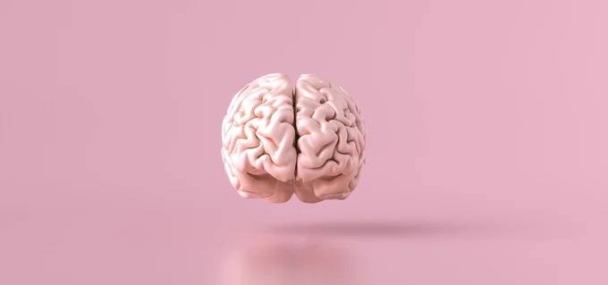 The necessity for having a healthy brain is to keep well hydrated and ensure an adequate and regular supply of nutrients.