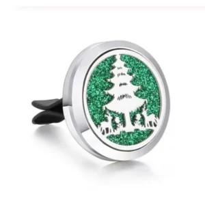 Seasonal Car Diffuser