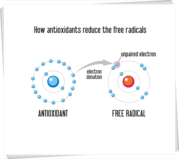Turmeric contains antioxidant properties can help to block free radicals.