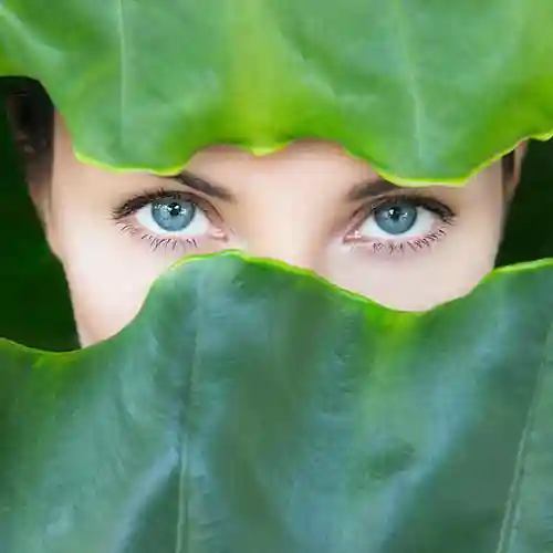 Eye health supplements category image. Supplements to support eye health.