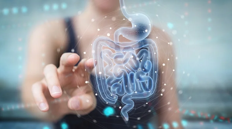 Probiotics and Prebiotics: What are they and why do you need them?