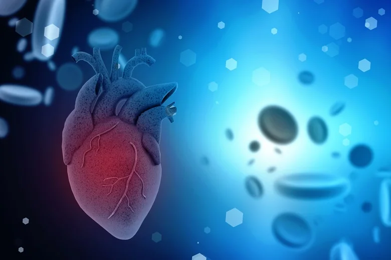 Good Circulation for a Healthy Heart