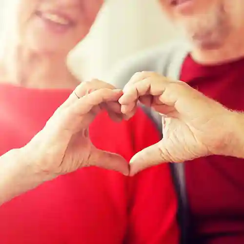 Heart health supplement category. Heart health supplements to support the cardiovascular system, blood pressure, circulation and provide anti-inflammatory benefits.