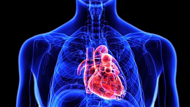 Cholesterol and Your Heart