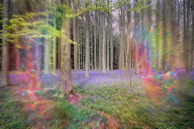 A migraine with aura involves visual symptoms such as flashing lights, lines, and shapes.