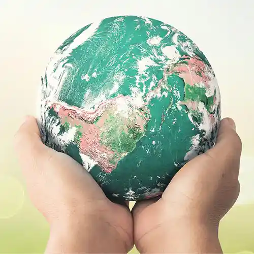 Natural living category. Natural living, eco-friendly, plastic-alternative lifestyle products.