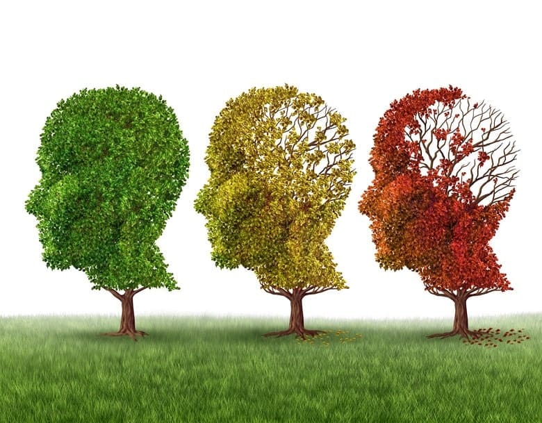 Nootropics for Memory