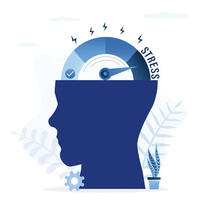 Ashwagandha is well known for its ability to reduce the symptoms of stress. Stress can affect testosterone levels.