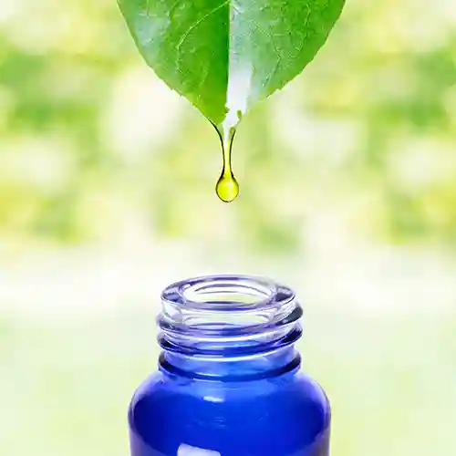 Tincture supplements category. Tinctures to support health and wellbeing.