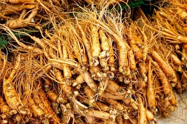 Tongkat Ali is widely used in traditional medicine to promote healthy libido