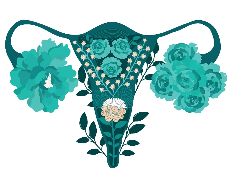 PCOS Supplements Blog Article