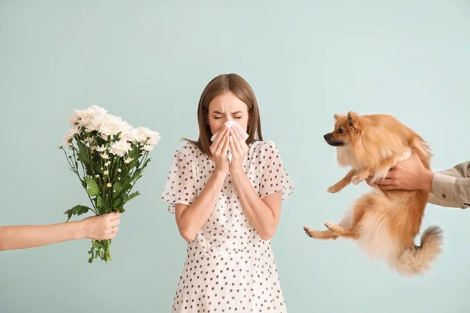 The most common allergies include insect stings, pollen, dust mites and certain foods.