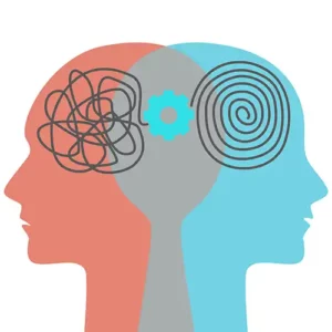 Focus / Memory / Cognition
