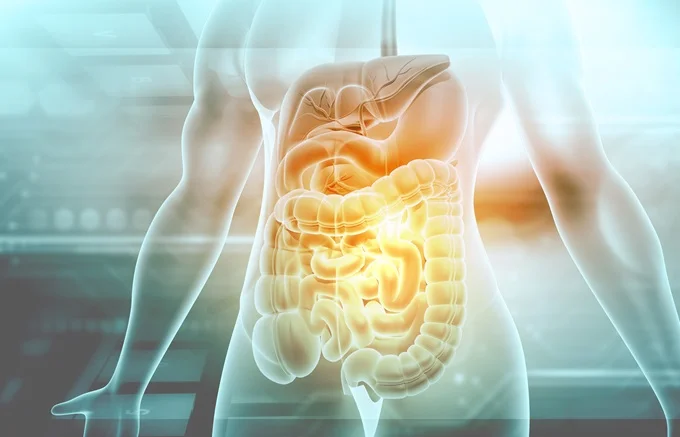 Baobab has a prebiotic which feeds the good bacteria in our gut.