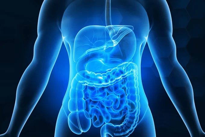 Diet and stress could cause IBS.