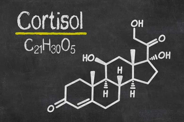 Supplements to Reduce Cortisol
