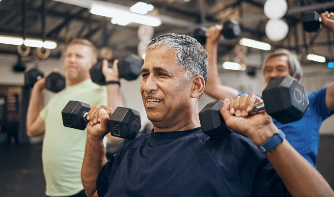 The safety profile makes beta ecdysterone potentially suitable for older adults