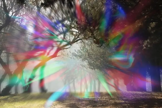 There may be a link between choleseterol and an aura migraine.