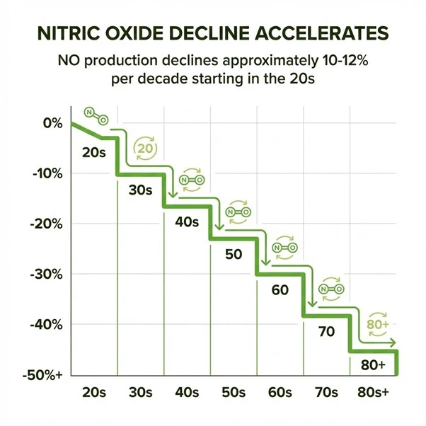 NO production declines as we age.