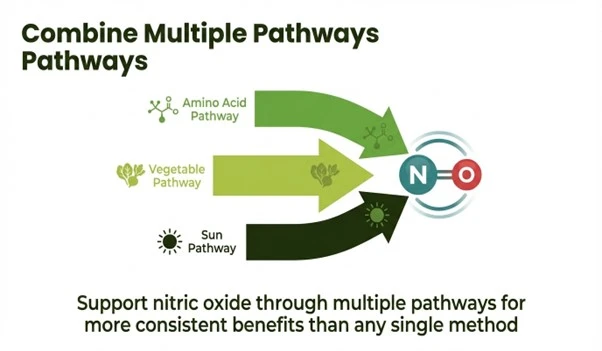A combination of supplements and lifestyle habits may support nitric oxide production more consistently.