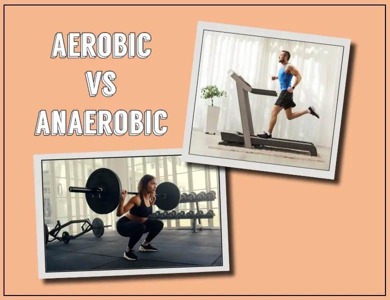 Difference Between Aerobic and Anaerobic Respiration?
