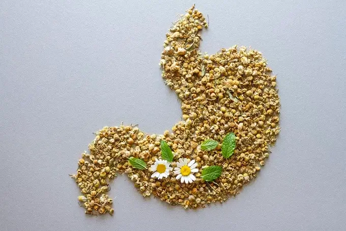 Supplements such as magnesium and Vitamin D can improve digestive health.