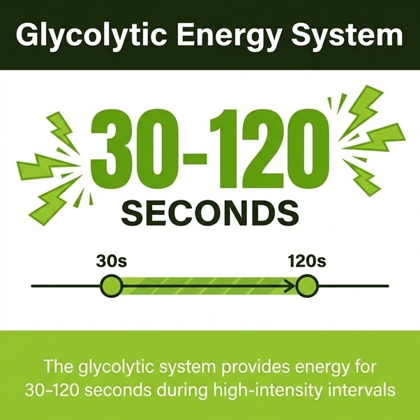 the glycolytic system (cellular energy generated by glucose) for 30-120 seconds (as in high intensity intervals).