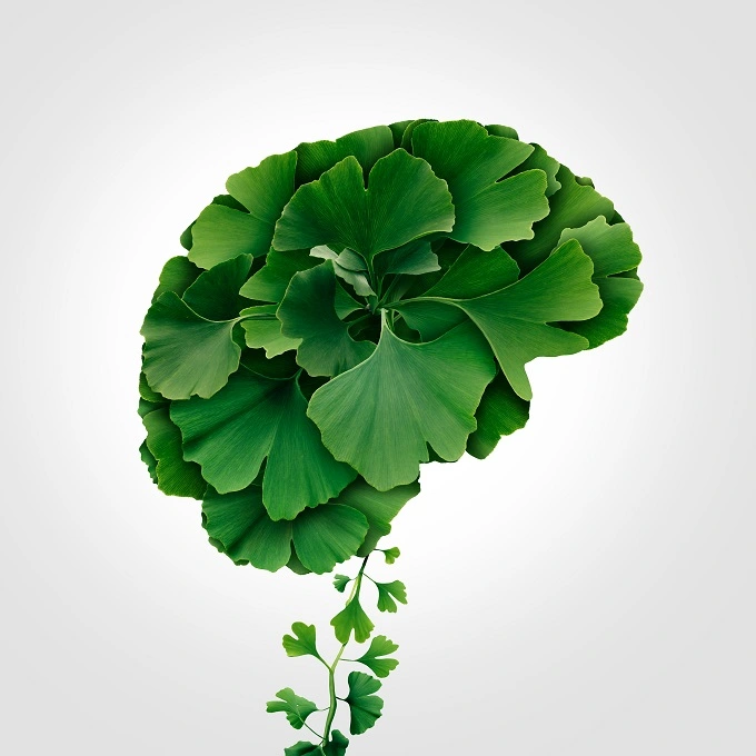 Ginkgo biloba could help to improve mood and anxiety.