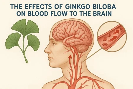 Ginkgo biloba can improve blood flow to the brain.