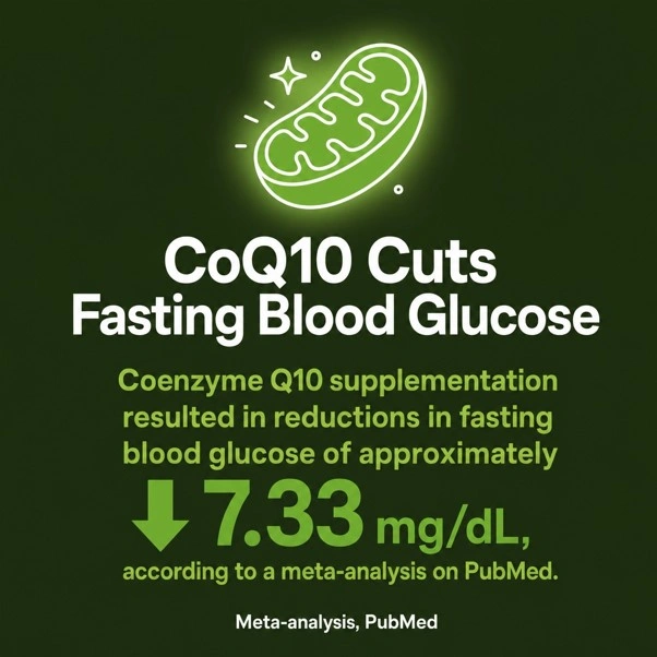 Coenzyme Q10 supplementation resulted in reductions in fasting blood glucose