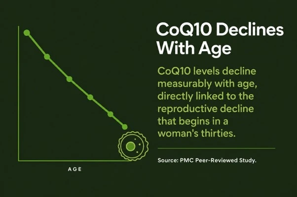 CoQ10 levels decline with age.