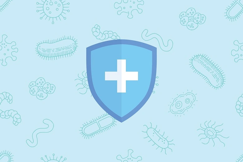 How Probiotics Enhance Your Immune System