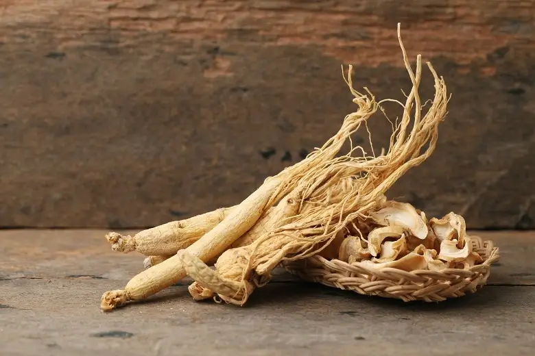 Ginseng Benefits
