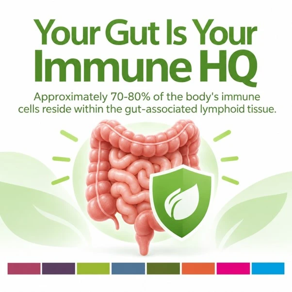 70-80% of the body's immune cells reside within the gut